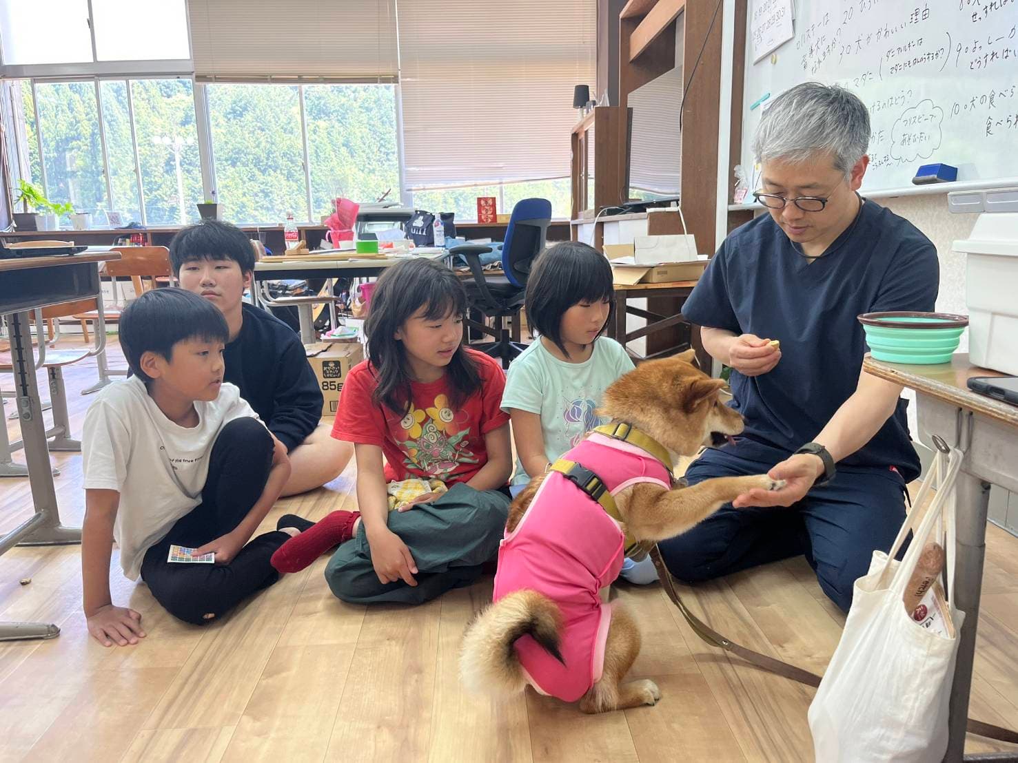 くぼた動物病院の先生から教わる「犬との触れ合い方」