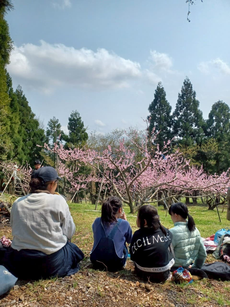 桃の花見