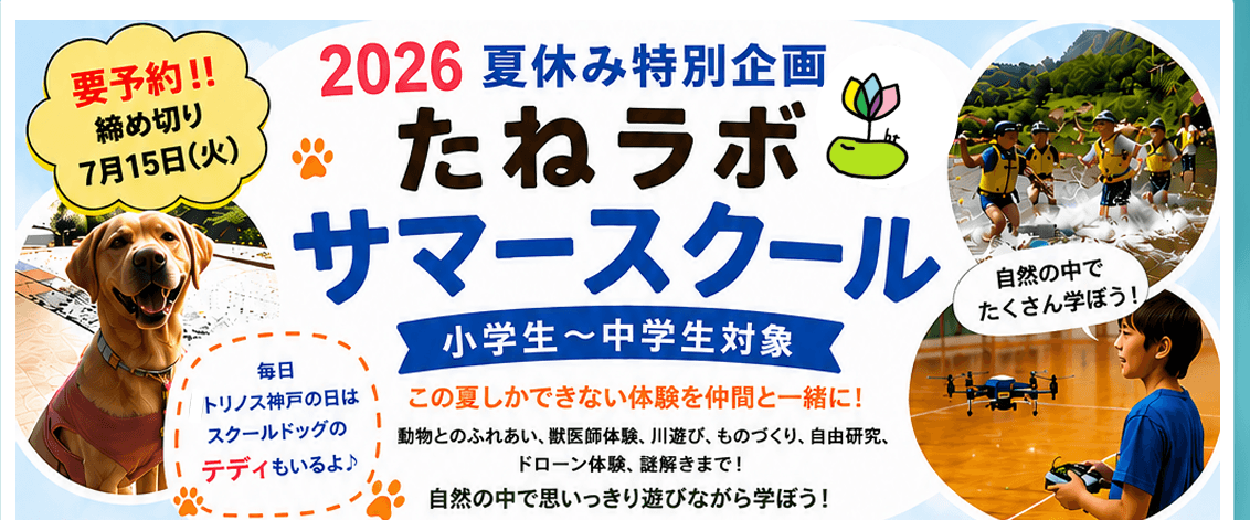 サマースクール