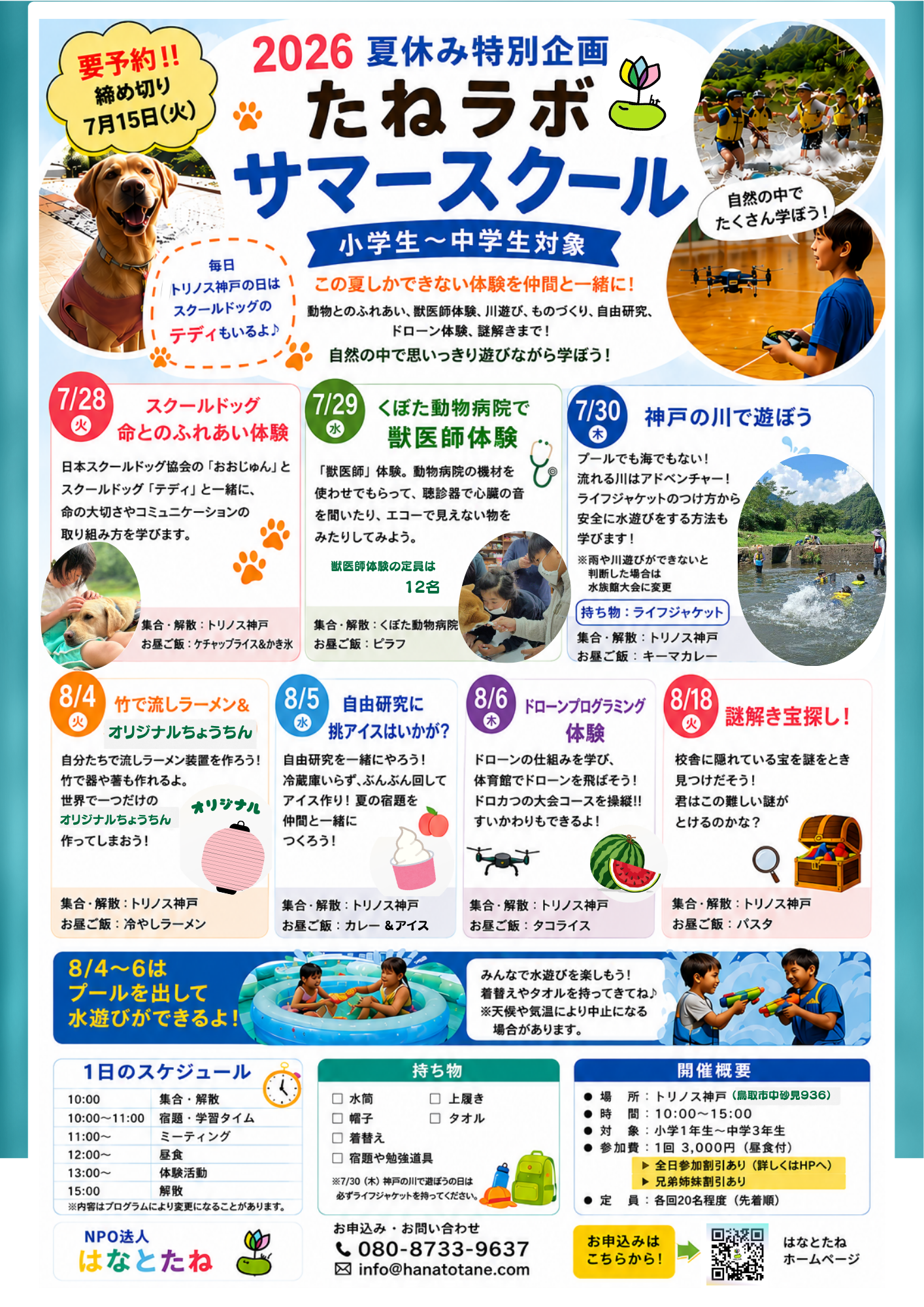 サマースクール